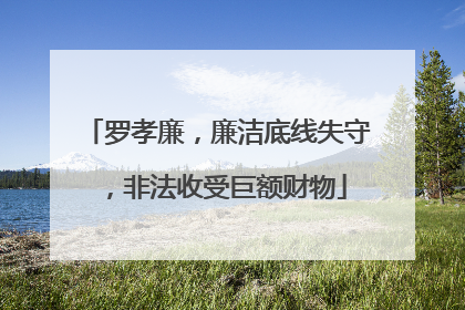 罗孝廉，廉洁底线失守，非法收受巨额财物