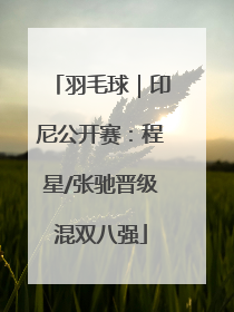 羽毛球｜印尼公开赛：程星/张驰晋级混双八强