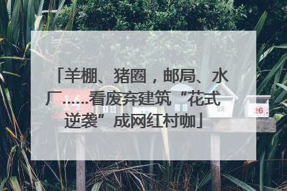 羊棚、猪圈，邮局、水厂……看废弃建筑“花式逆袭”成网红村咖