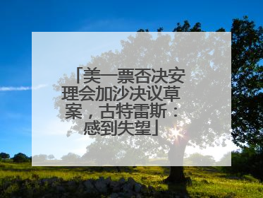 美一票否决安理会加沙决议草案，古特雷斯：感到失望