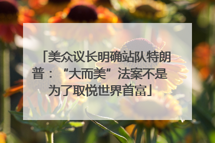 美众议长明确站队特朗普：“大而美”法案不是为了取悦世界首富