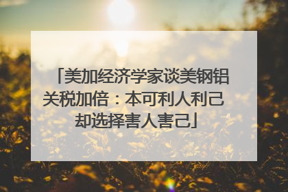 美加经济学家谈美钢铝关税加倍：本可利人利己 却选择害人害己