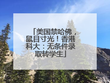 美国禁哈佛，鼠目寸光！香港科大：无条件录取转学生