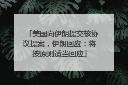 美国向伊朗提交核协议提案，伊朗回应：将按原则适当回应
