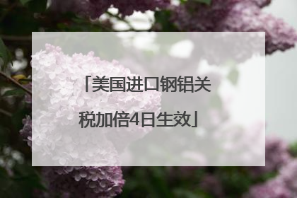 美国进口钢铝关税加倍4日生效