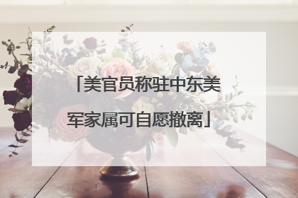 美官员称驻中东美军家属可自愿撤离