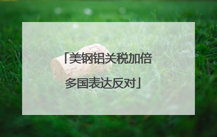 美钢铝关税加倍 多国表达反对