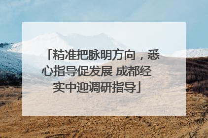精准把脉明方向，悉心指导促发展 成都经实中迎调研指导