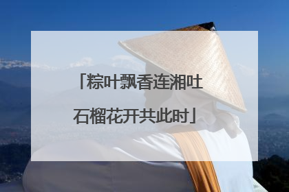 粽叶飘香连湘吐 石榴花开共此时