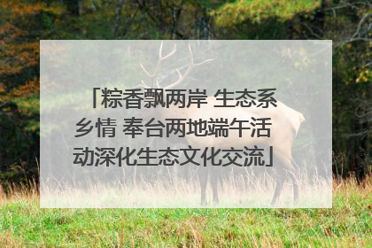 粽香飘两岸 生态系乡情 奉台两地端午活动深化生态文化交流