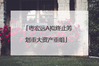 粤宏远A拟终止筹划重大资产重组