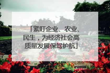 紧盯企业、农业、民生，为经济社会高质量发展保驾护航