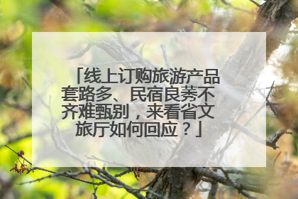 线上订购旅游产品套路多、民宿良莠不齐难甄别，来看省文旅厅如何回应？