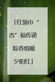 红领巾“杏”福传递 粽香情暖夕阳红