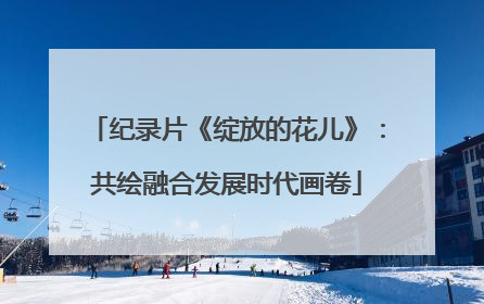 纪录片《绽放的花儿》：共绘融合发展时代画卷