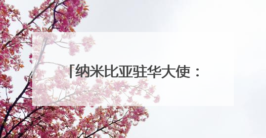纳米比亚驻华大使：中国经验表明，现代化不光是经济腾飞