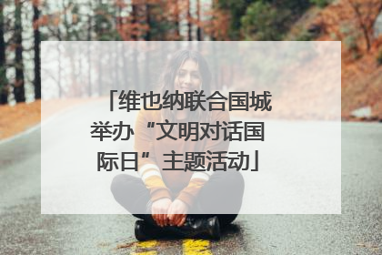 维也纳联合国城举办“文明对话国际日”主题活动