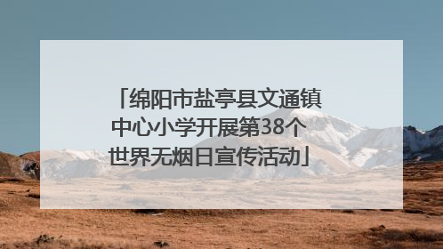 绵阳市盐亭县文通镇中心小学开展第38个世界无烟日宣传活动