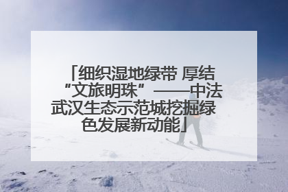 细织湿地绿带 厚结“文旅明珠”——中法武汉生态示范城挖掘绿色发展新动能