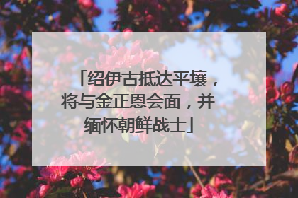 绍伊古抵达平壤，将与金正恩会面，并缅怀朝鲜战士