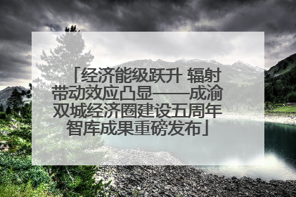 经济能级跃升 辐射带动效应凸显——成渝双城经济圈建设五周年智库成果重磅发布