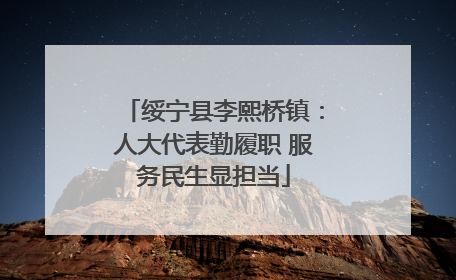 绥宁县李熙桥镇：人大代表勤履职 服务民生显担当