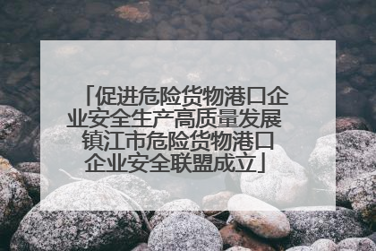 促进危险货物港口企业安全生产高质量发展 镇江市危险货物港口企业安全联盟成立