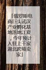 俄罗斯电商巨头武汉产业孵化基地落地江夏，今年预计入驻上千家湖北跨境卖家