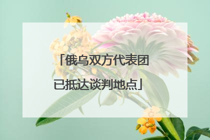 俄乌双方代表团已抵达谈判地点