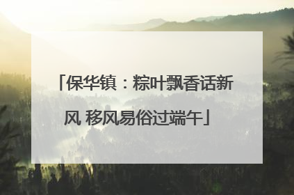 保华镇：粽叶飘香话新风 移风易俗过端午