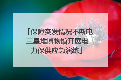 保障突发情况不断电 三星堆博物馆开展电力保供应急演练