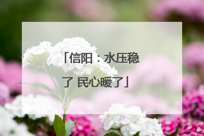 信阳：水压稳了 民心暖了