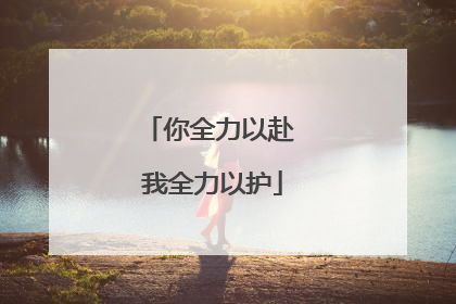 你全力以赴 我全力以护