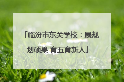 临汾市东关学校：展规划硕果 育五育新人