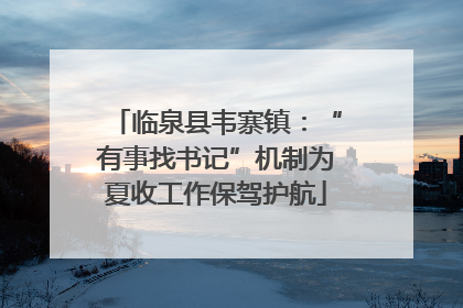 临泉县韦寨镇：“有事找书记”机制为夏收工作保驾护航