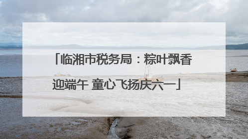 临湘市税务局：粽叶飘香迎端午 童心飞扬庆六一