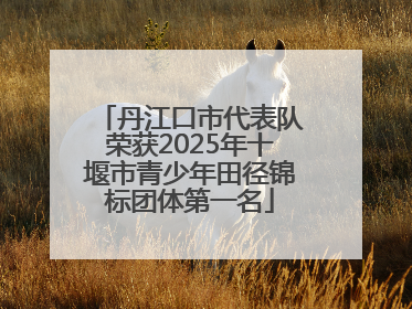 丹江口市代表队荣获2025年十堰市青少年田径锦标团体第一名