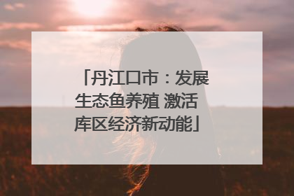 丹江口市：发展生态鱼养殖 激活库区经济新动能