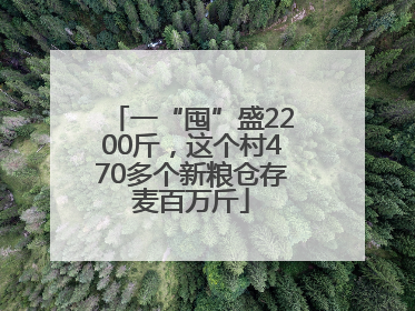一“囤”盛2200斤，这个村470多个新粮仓存麦百万斤
