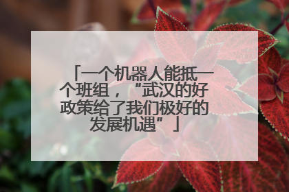 一个机器人能抵一个班组，“武汉的好政策给了我们极好的发展机遇”