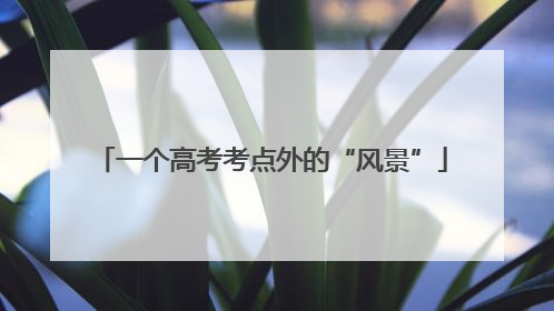 一个高考考点外的“风景”