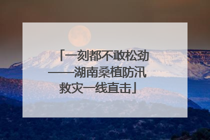 一刻都不敢松劲——湖南桑植防汛救灾一线直击