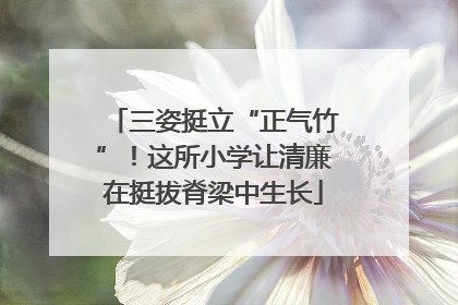 三姿挺立“正气竹”！这所小学让清廉在挺拔脊梁中生长