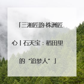 三湘匠韵·株洲匠心丨石天宝：稻田里的“追梦人”