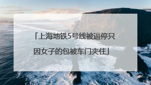上海地铁5号线被逼停只因女子的包被车门夹住