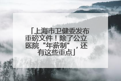 上海市卫健委发布重磅文件！除了公立医院“年薪制”，还有这些重点