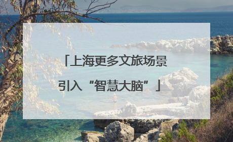 上海更多文旅场景引入“智慧大脑”