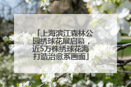 上海滨江森林公园绣球花展启幕，近5万株绣球花海打造治愈系画面