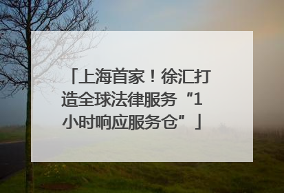 上海首家！徐汇打造全球法律服务“1小时响应服务仓”
