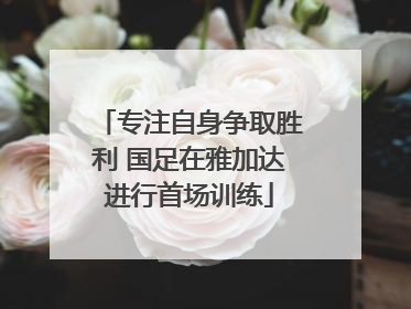 专注自身争取胜利 国足在雅加达进行首场训练